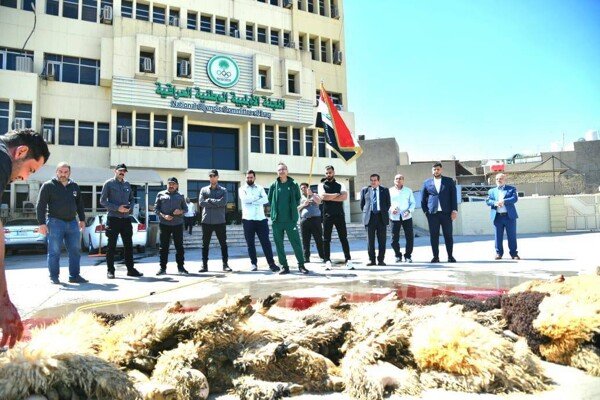 Grand Celebration at Iraqi Olympic Committee